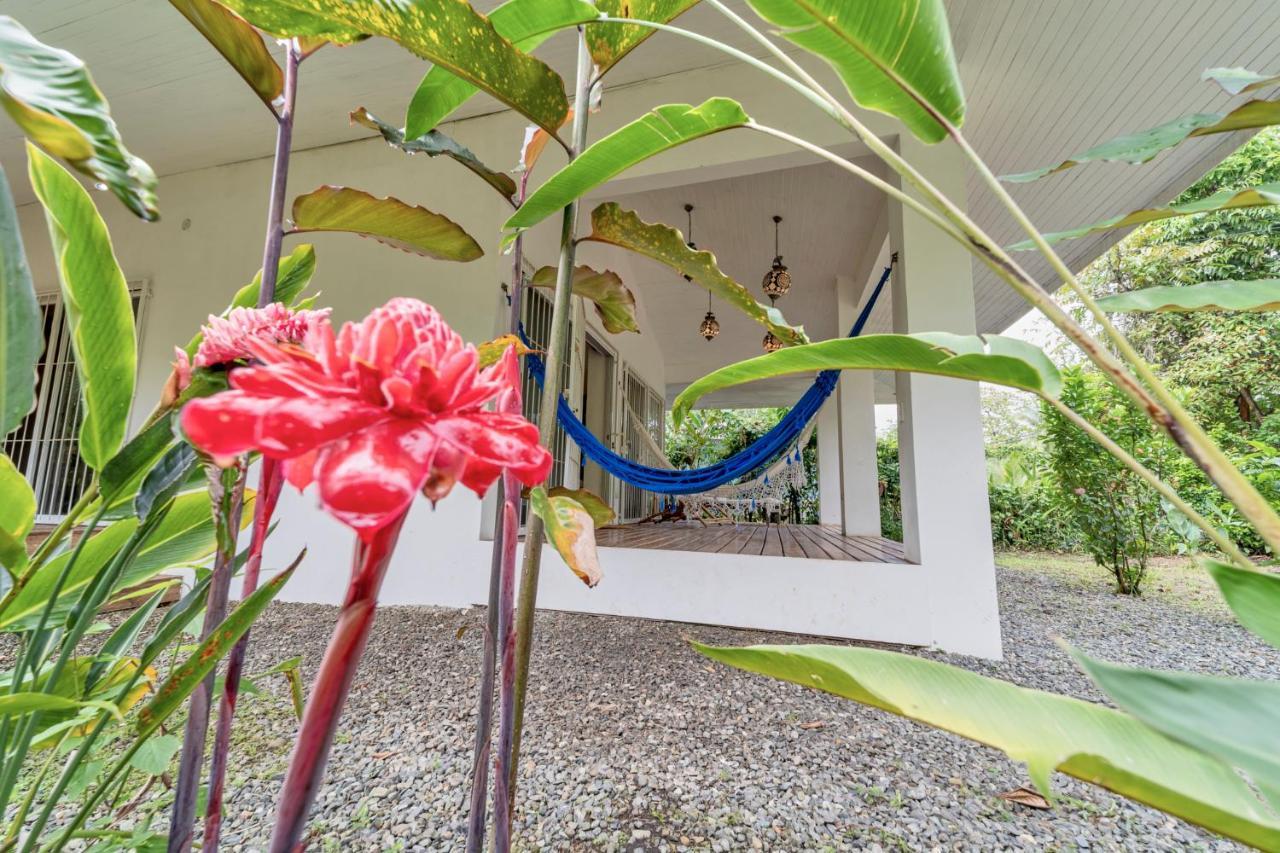 Pineapple House Manzanillo Villa Екстериор снимка