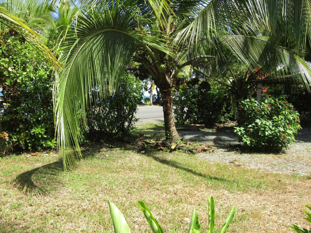 Pineapple House Manzanillo Villa Екстериор снимка