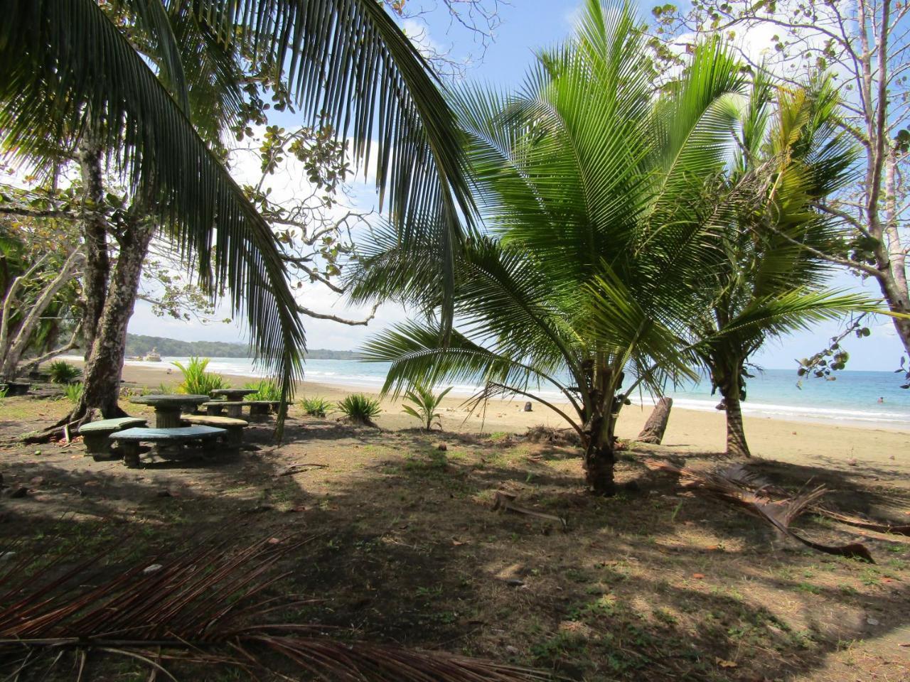 Pineapple House Manzanillo Villa Екстериор снимка