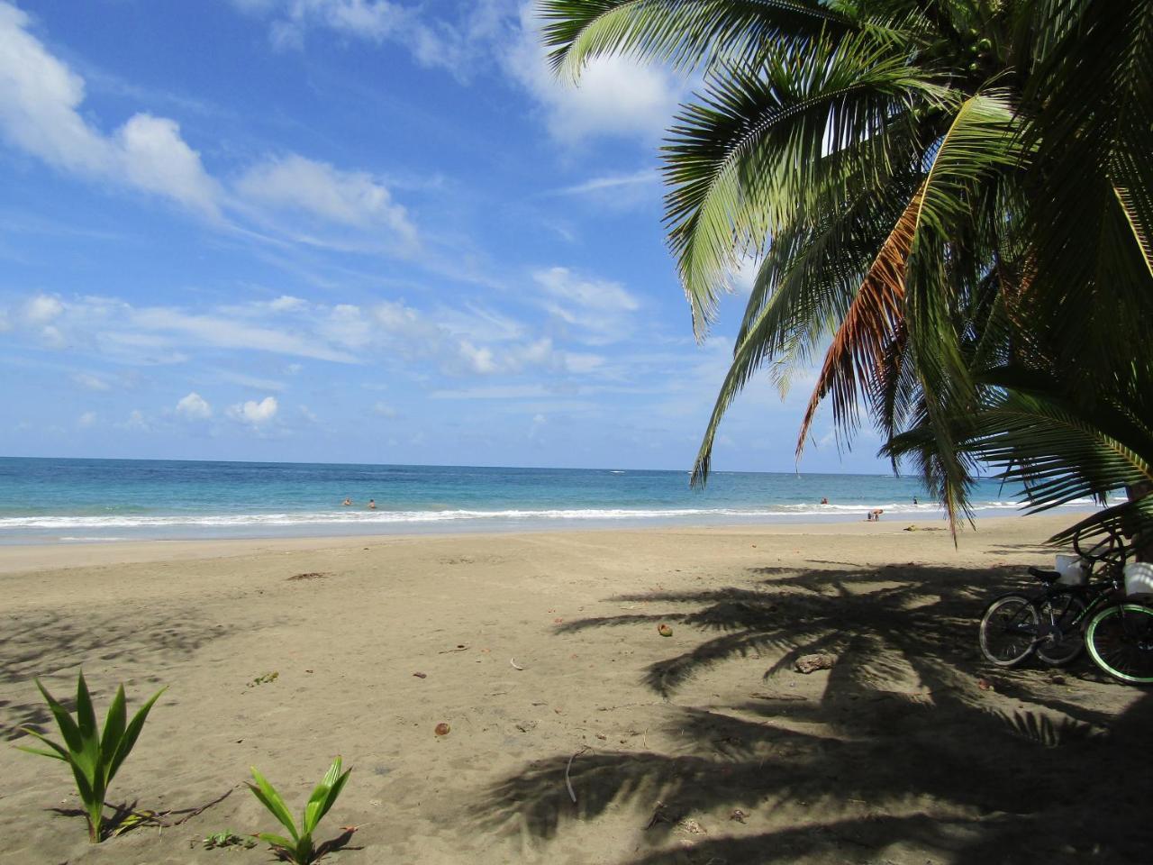 Pineapple House Manzanillo Villa Екстериор снимка